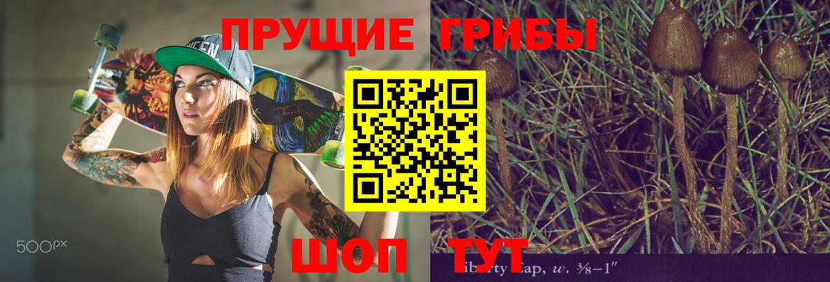 Псилоцибиновые грибы прущие грибы Коркино